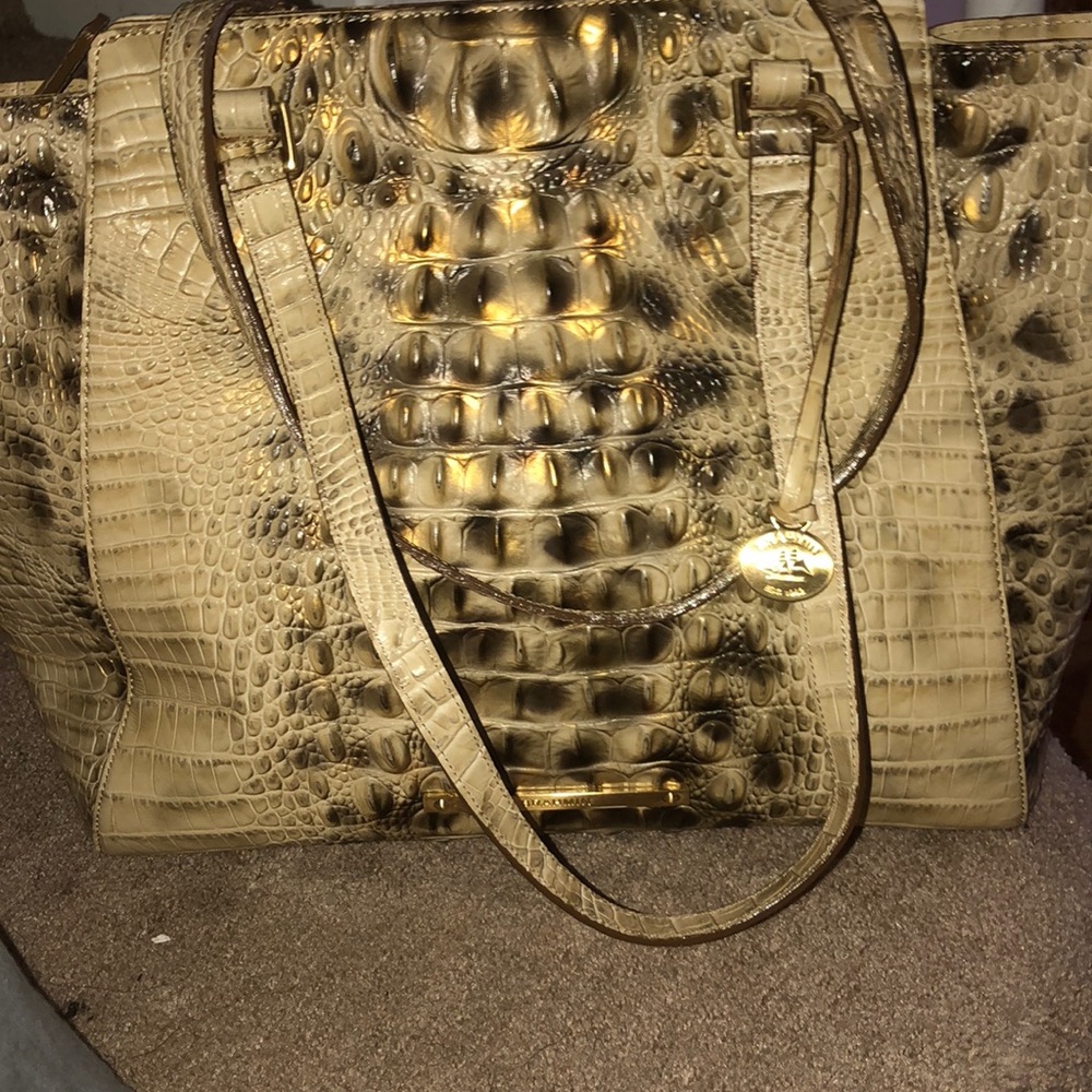 Brahmins bag